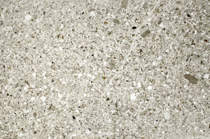 Plane Polarized, S75339