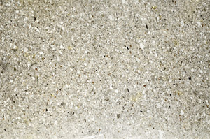 Plane Polarized, S75348