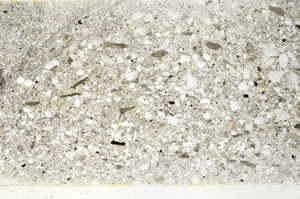 Plane Polarized, S75359