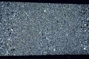 Cross Polarized, S75368