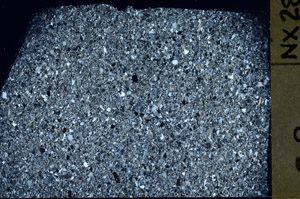 Cross Polarized, S75373