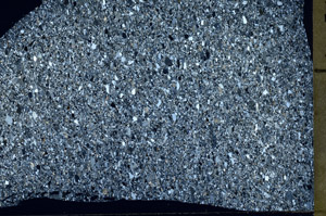 Cross Polarized, S75374