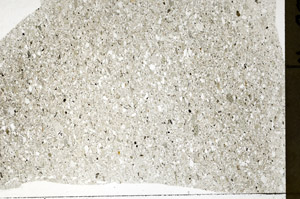 Plane Polarized, S75374