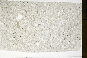 Plane Polarized, S75405