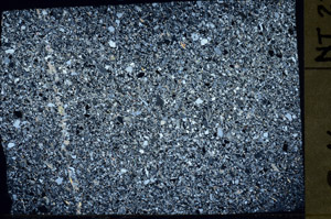 Cross Polarized, S75407