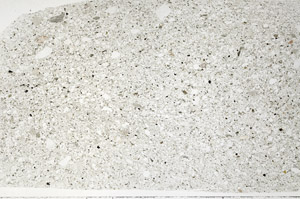 Plane Polarized, S75409