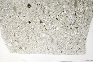 Plane Polarized, S75412