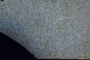 Cross Polarized, S75487