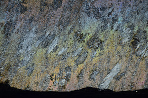 Cross Polarized, S75492