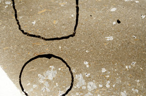 Plane Polarized, S75524