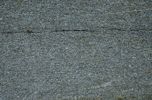 Cross Polarized, S75681