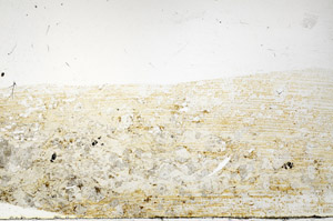 Plane Polarized, S75703