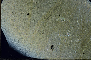 Cross Polarized, S75712