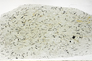 Plane Polarized, S75714