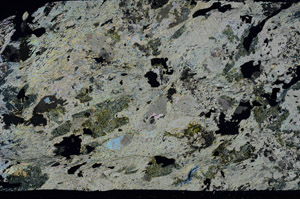 Cross Polarized, S75722