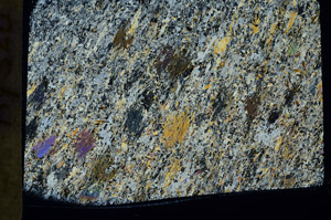 Cross Polarized, S75933