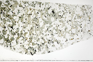 Plane Polarized, S75994