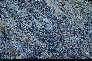 Cross Polarized, S76293