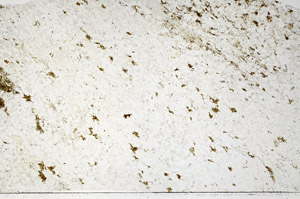 Plane Polarized, S76293