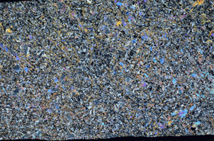 Cross Polarized, S76297