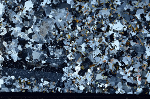 Cross Polarized, S76324