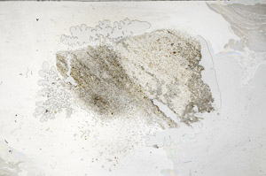 Plane Polarized, S76426/A