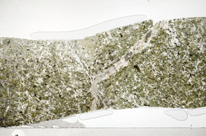 Plane Polarized, S76427