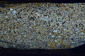 Cross Polarized, S76428