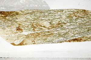 Plane Polarized, S76430