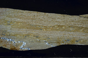 Cross Polarized, S76432