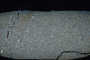 Cross Polarized, S76433