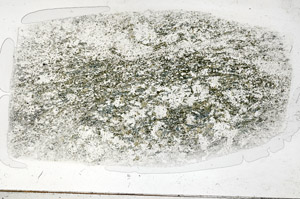 Plane Polarized, S76435