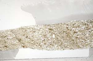 Plane Polarized, S76438