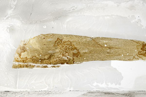 Plane Polarized, S76440