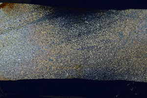 Cross Polarized, S76443