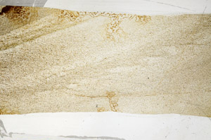 Plane Polarized, S76443