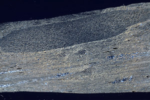 Cross Polarized, S76445