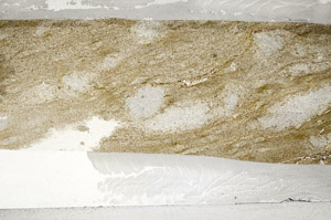 Plane Polarized, S76447