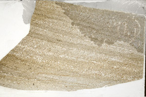 Plane Polarized, S76448