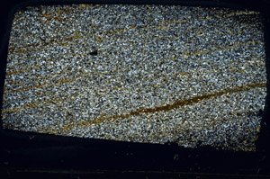 Cross Polarized, S76449