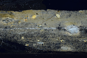 Cross Polarized, S76450