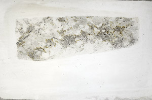 Plane Polarized, S76452