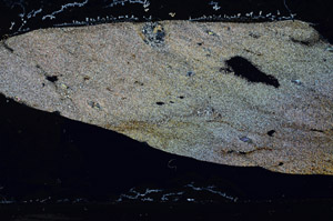 Cross Polarized, S76459