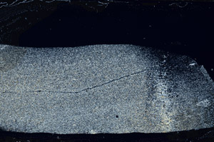 Cross Polarized, S76467