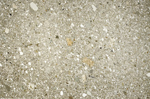 Plane Polarized, S76576