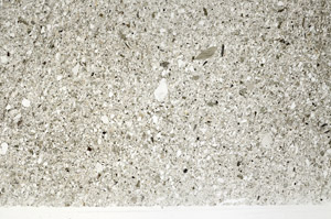 Plane Polarized, S76580