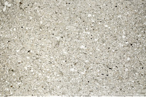 Plane Polarized, S76583