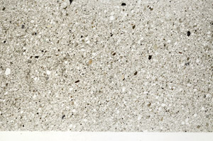 Plane Polarized, S76585