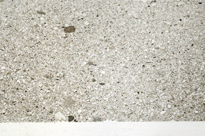 Plane Polarized, S76586