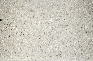 Plane Polarized, S76589